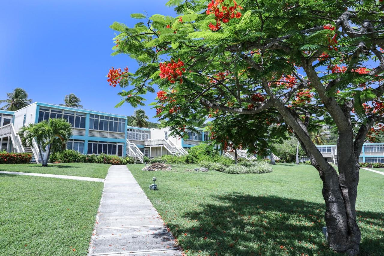 Bare Feet Retreat Villa ฟรีเดนดัีล ภายนอก รูปภาพ